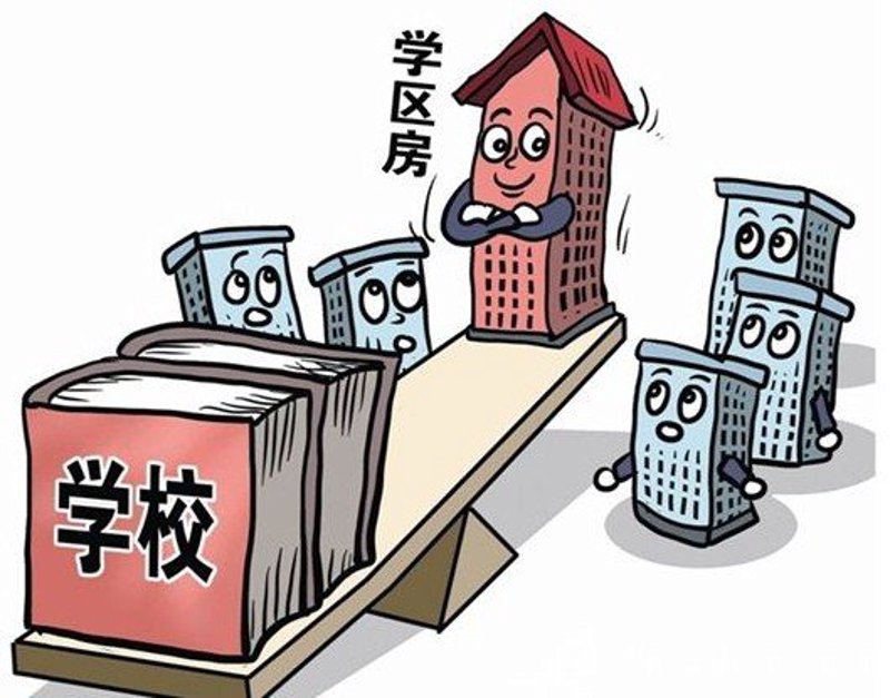 繁华背后的商业智慧：蜀山商铺运营案例分析